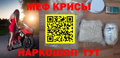 стаф Гай