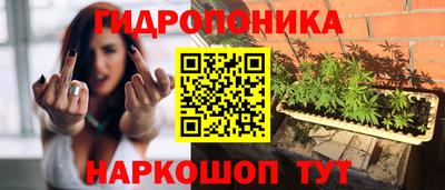 МДМА Гатчина