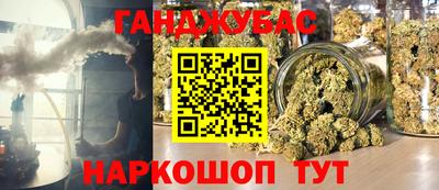 стаф Гай