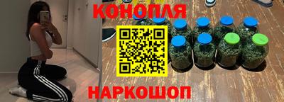 стаф Гай