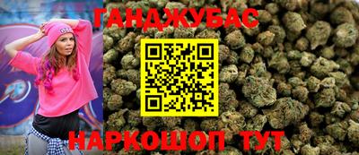 гидра Гагарин