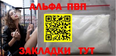 стаф Гай
