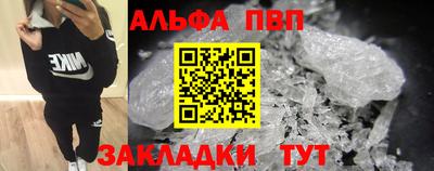 стаф Гай