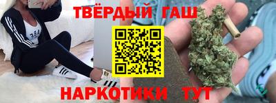 стаф Гай