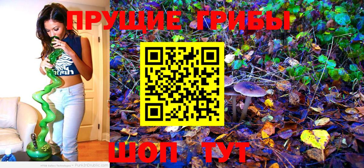 Псилоцибиновые грибы Psilocybine cubensis Нововоронеж